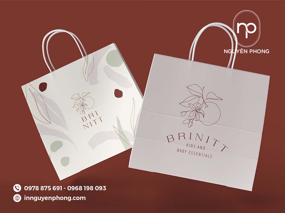 Mẫu túi giấy đựng nho khô đẹp 